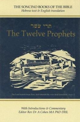 The Twelve Prophets Hardcover
