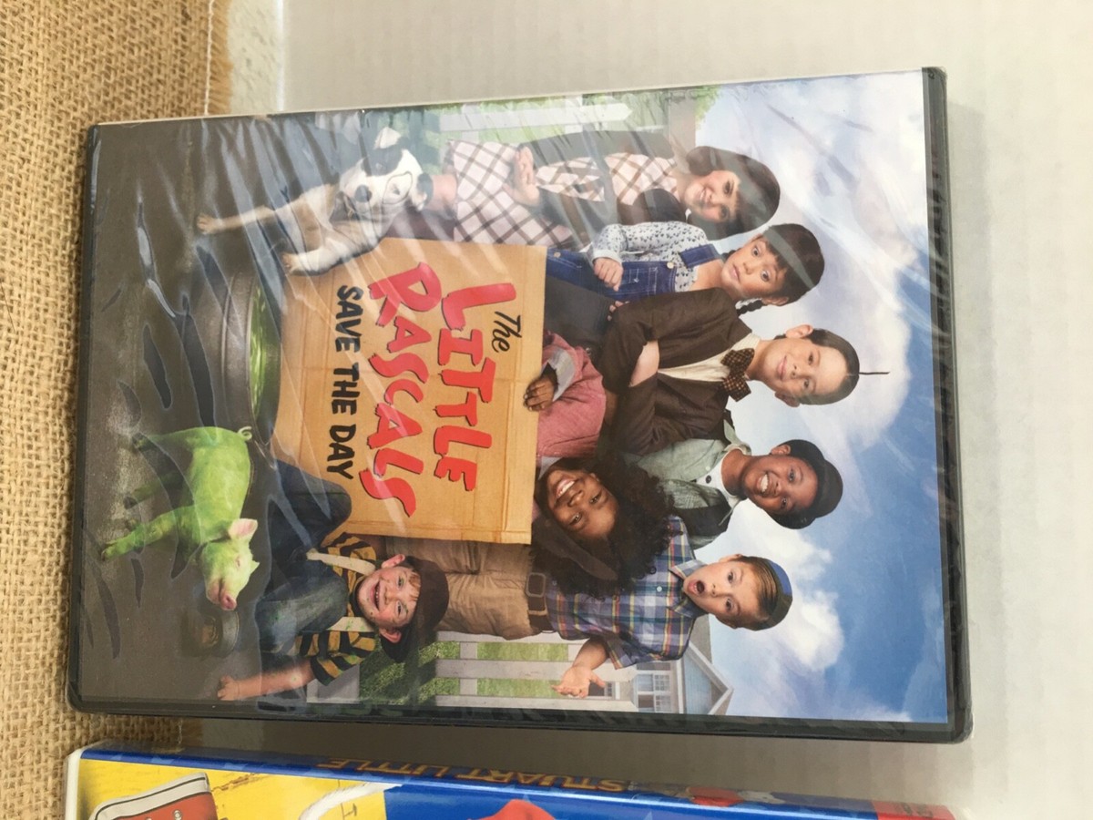 ROY STUART V DVD付き ROY STUART V DVD付き Amazon.com: Bullitt (Two-Disc Special