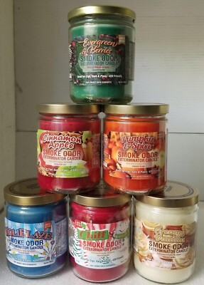 Smoke Odor 13 oz Jar Holidays & Christmas Candles Evergreen & Berries +5 more