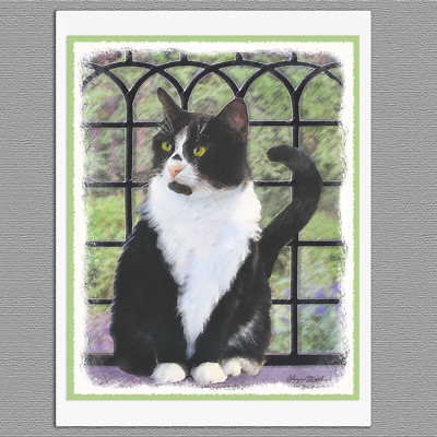6 Black & White Tuxedo Cat Blank Art Note Greeting Cards