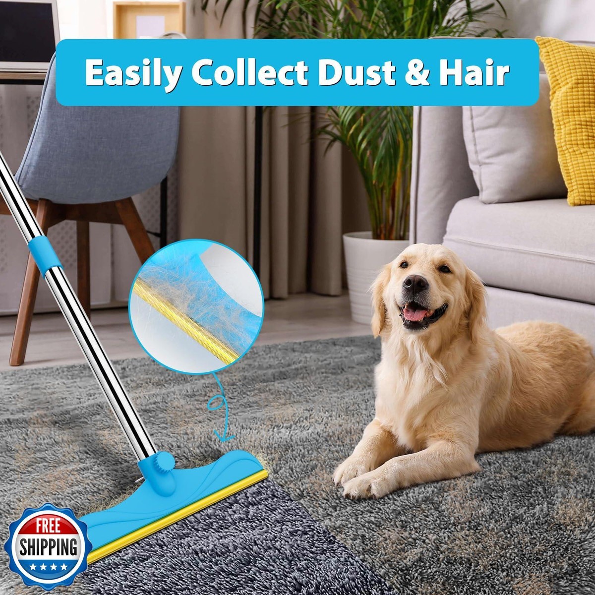 Pet Hair Removal Carpet Rake HIMODA Pet Hair Remover For Carpet