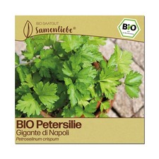 BIO Petersilie Samen Sorte Gigante di Napoli Kräutersamen BIO Kräuter Saatgut sa
