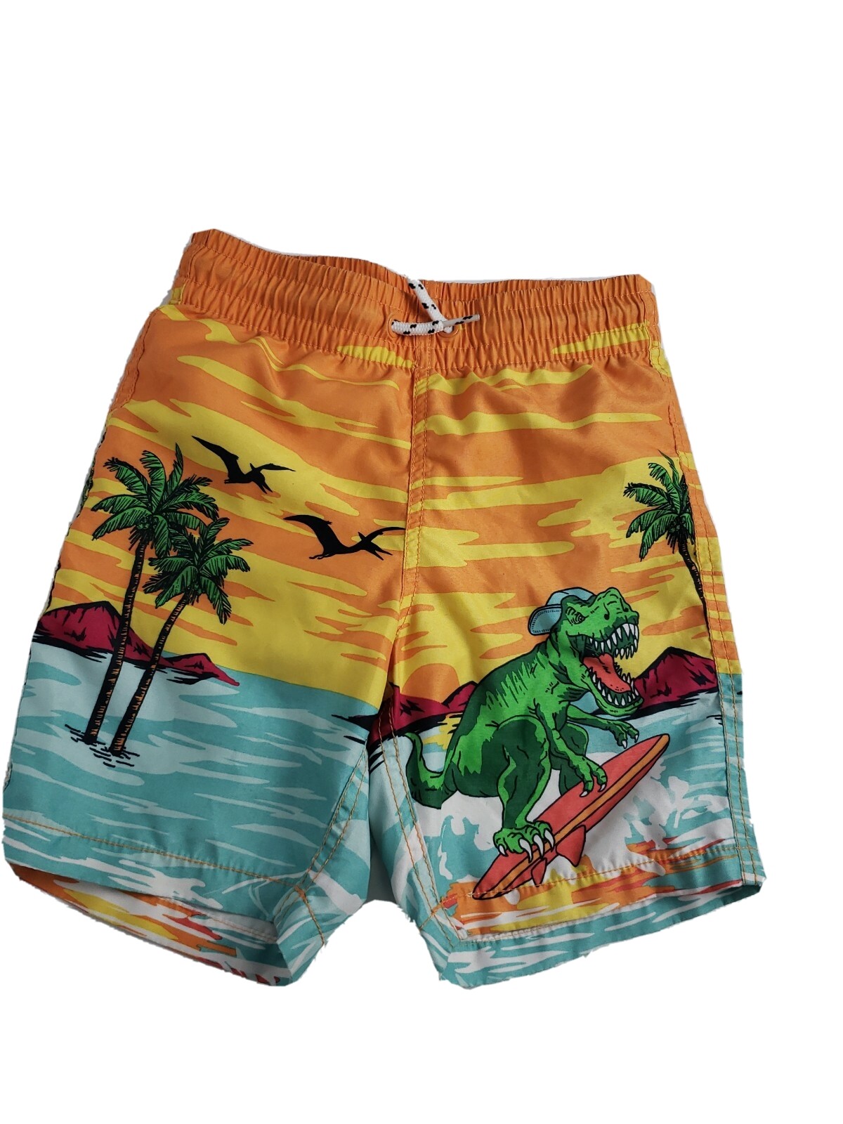 dinosaur swim shorts mens