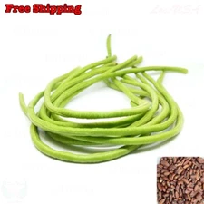 Yardlong Bean, Asparagus Bean, Snake Bean, Chinese Long Bean SEEDS | Non-GMO