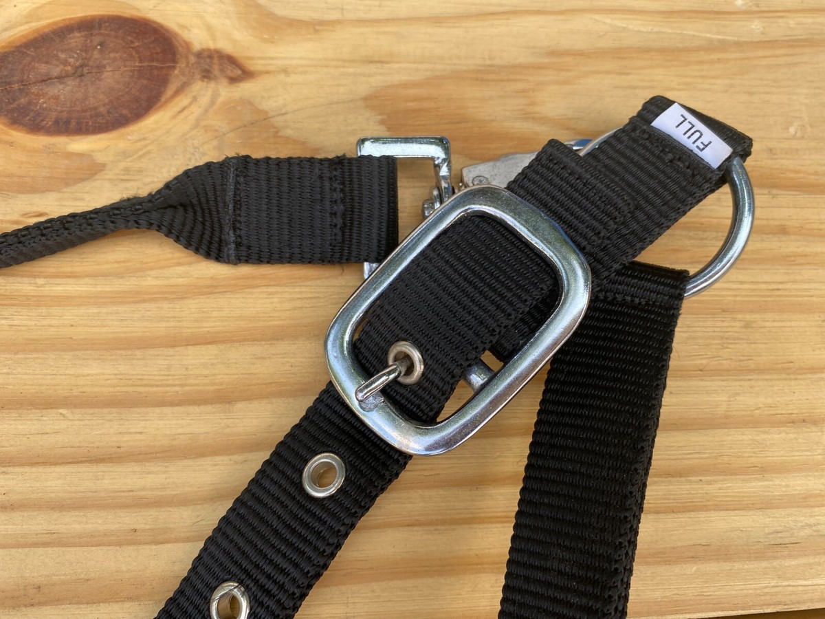 Licou Pour Cheval MOUSM Bronc Halter - Cuir De Vache Argentin - Turquoise