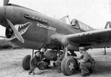 WW2 WWII Photo P-40 Flying Tiger American Volunteer Group China World War Two