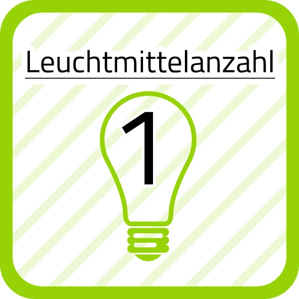 Bild 3 von 12