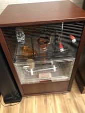 qute gerbil cage