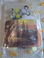 painting by numbers for adults cabin scene canvas
