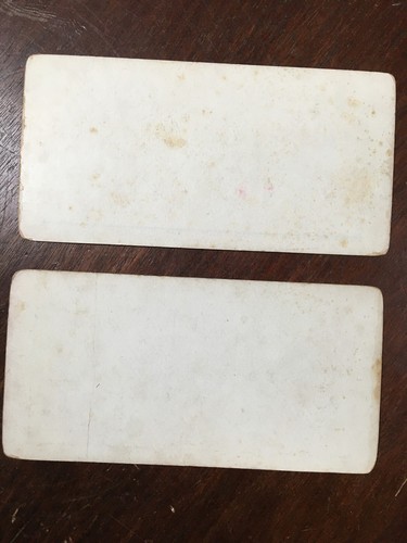 Lote de 10 Stereoview, agricultura, frutas, flores, parques, algodón, tala, sears - Imagen 7 de 11