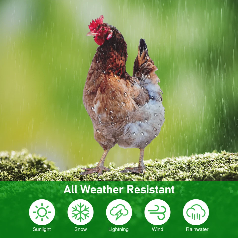 Gallo gallina pollo estatua patio arte decoración escultura realista decoración jardín Foto 4 de 4