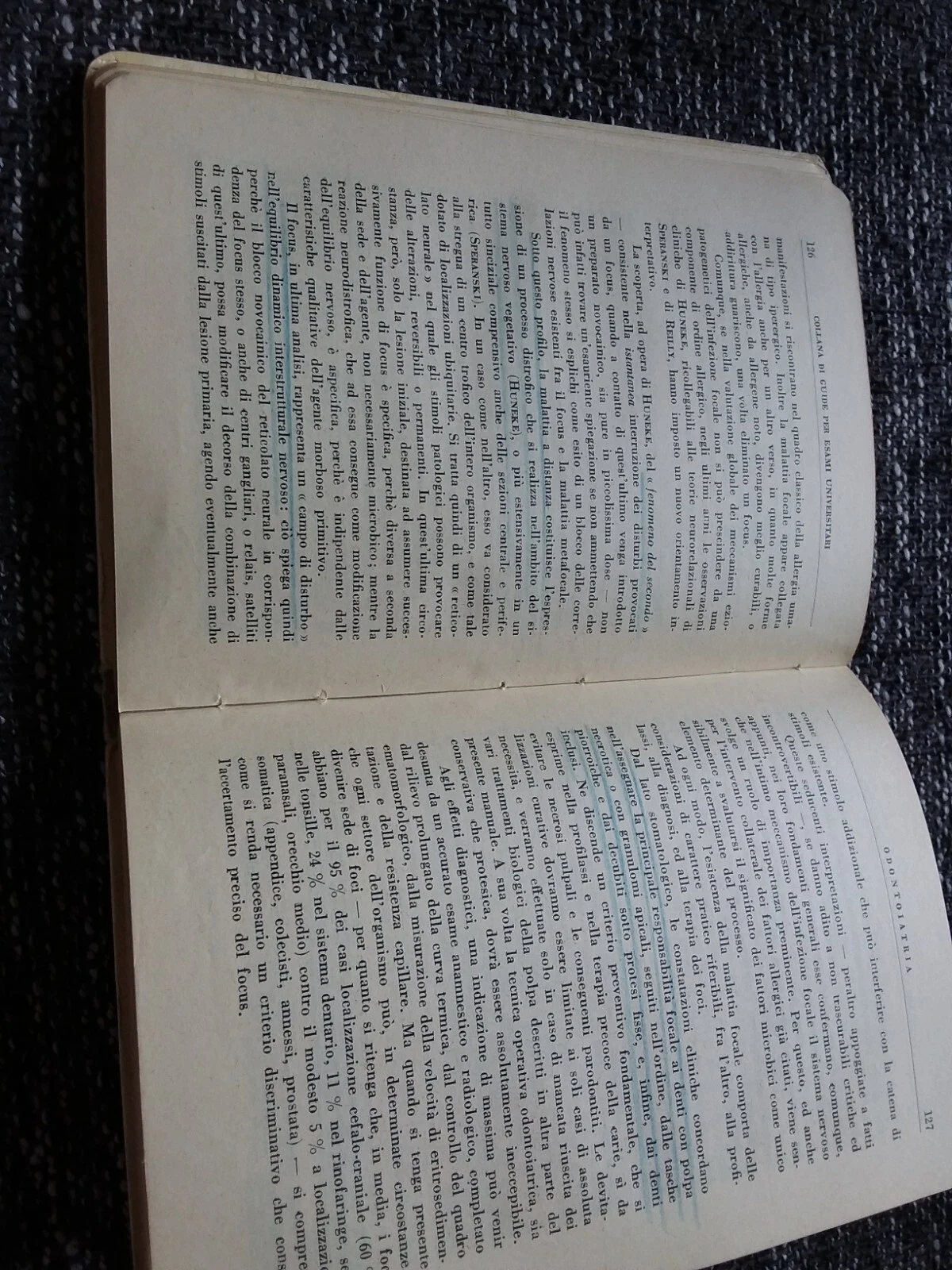 Bild 5 von 9