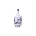 Zekering 2A DII gG / BiWtz 500V E27 002312401