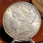 1883 Morgan Silver Dollar  Almost Uncirculated FULL BREASTFEATHERS
