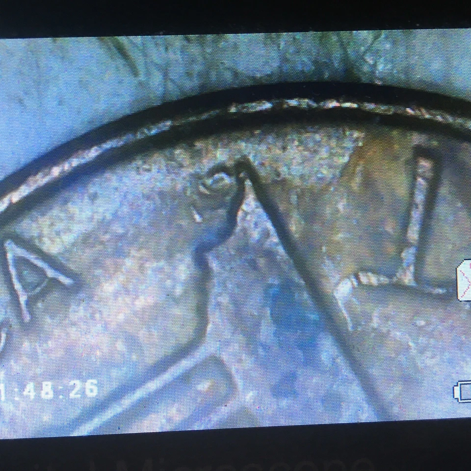 1982p Error Cent~Large date w/Weak FG - Image 2 of 4