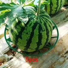 5 Pieces Melon Cradle Accessories Plant Trellis for Courgette Pumpkin Squash