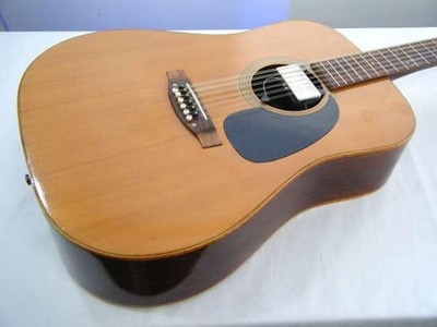 ELITE 12 String Eleako WG20 Used