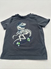 Tommy Bahama T-shirt Toddler Boy Size 24M Gray Graphic Print   26797