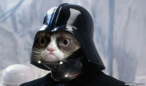 Grumpy Cat Dressed as Darth Vader The 