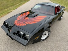 1978-1980 Pontiac Firebird Trans Am Decals Kit With Hood Bird 1978-1980 Pontiac Firebird Trans Am Decals Kit With Hood Bird