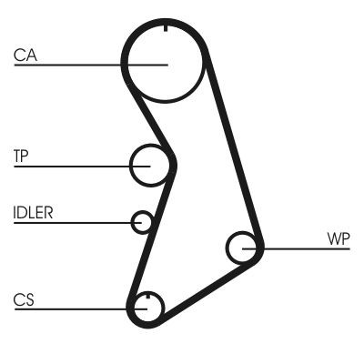 ✅Fits CONTITECH CT909K2 Timing Belt Set ⭐UK Seller⭐ - Picture 3 of 9