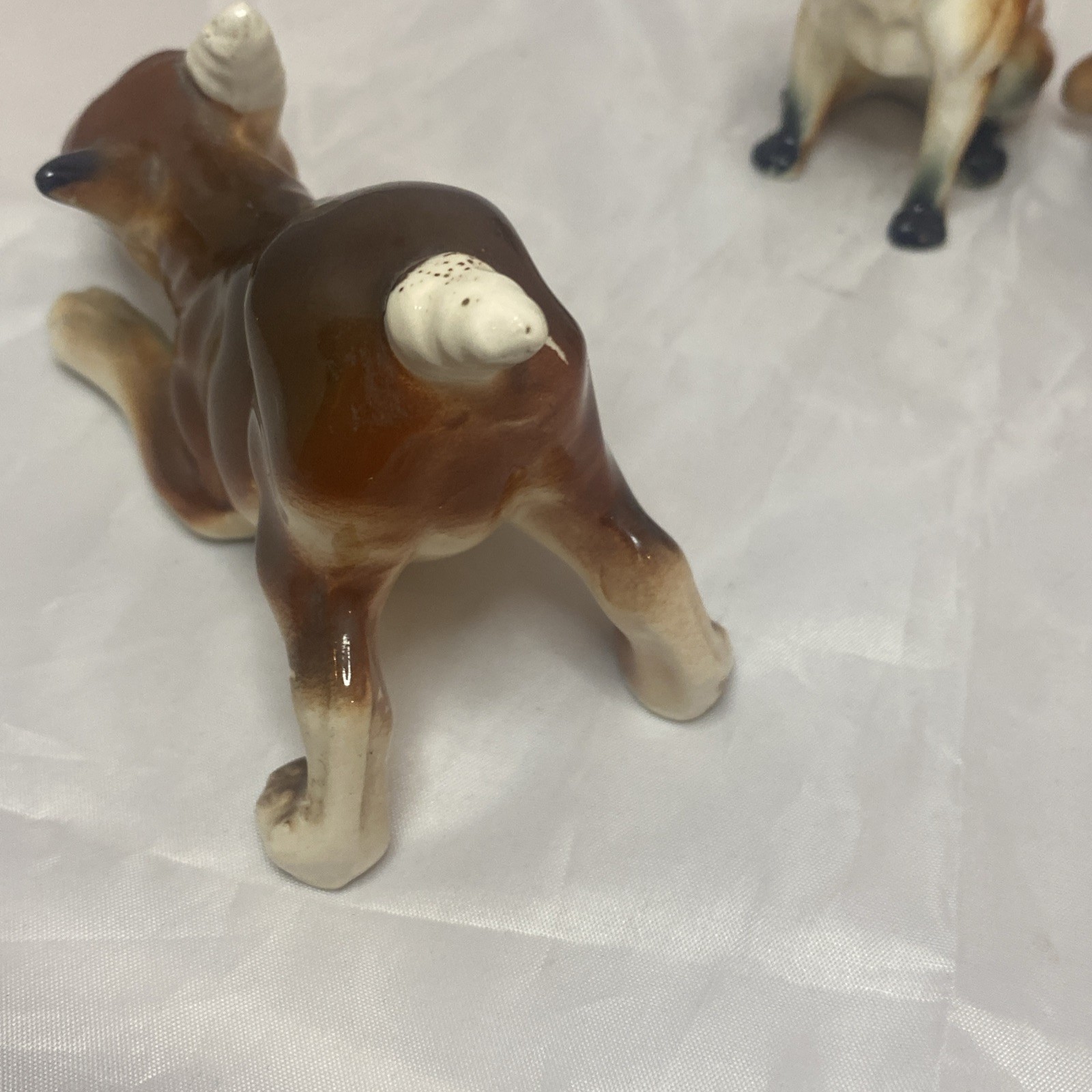 Picture 6 of 24
