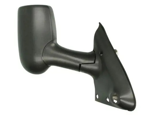 Specchietto esterno Dx Specchio completo 5402-04-9219919 BLIC per FORD