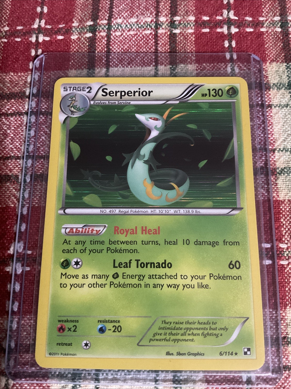 Pokémon TCG Black And White Base Serperior Holo 6/114