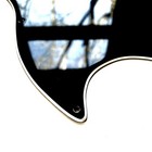 Bild 8 von 13