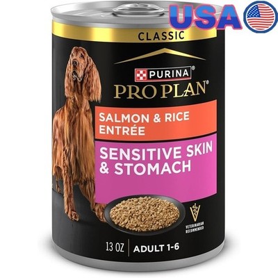 Salmon Rice Wet Dog Food Sensitive Stomach Pate Adult Nutrition Digestive Health