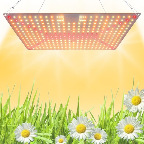 Hydroponic Full Spectrum 1500W Panel LED Grow Lights - plantlight-1500 Hydroponic Full Spectrum 1500W Panel LED Grow Lights - plantlight-1500
