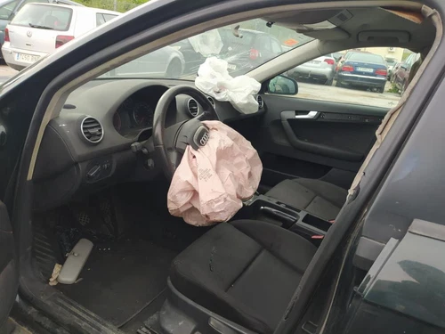 Guarnecido Puerta Delantera Izquierda para AUDI A3 SPORTBACK (8PA) 2006 1695315 - Imagen 7 de 7