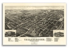 Tallahassee Florida 1885 Historic Panoramic Town Map - 24x36