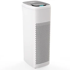 Air Purifier for Home Large Room True HEPA Washable Filter Allergies Odor Smoke
