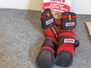 kong dog boots