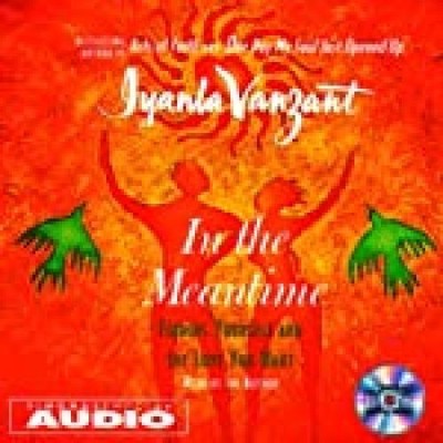 In The Meantime: Finding Yourself And The Love You Want Vanzant, Iyanla und Iyan