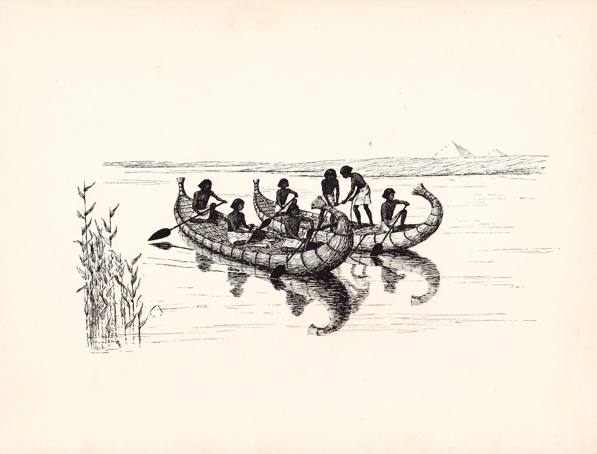 Ancient Egyptian Fishing Boats