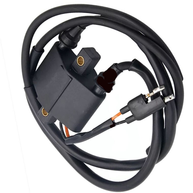 Polaris SPORTSMAN 500 Stator Ignition Coil & Spark Plug For - Foto 13