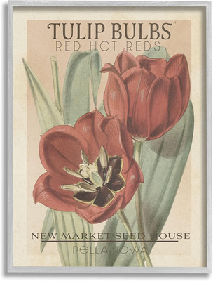 Hot Red Tulip Bulbs Antique Floral Seed Packet