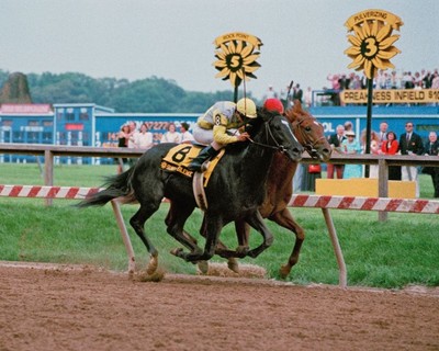DVD - 'Dark Horses' - EASY GOER & SUNDAY SILENCE - NBC Documentary 2018
