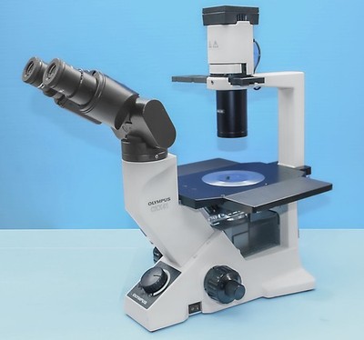 OLYMPUS CKX41SF Inverted Phase contrast Microscope, 4 Objectives