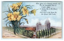 Utah State Flower Sego Lily Famous Temple Early Postcard