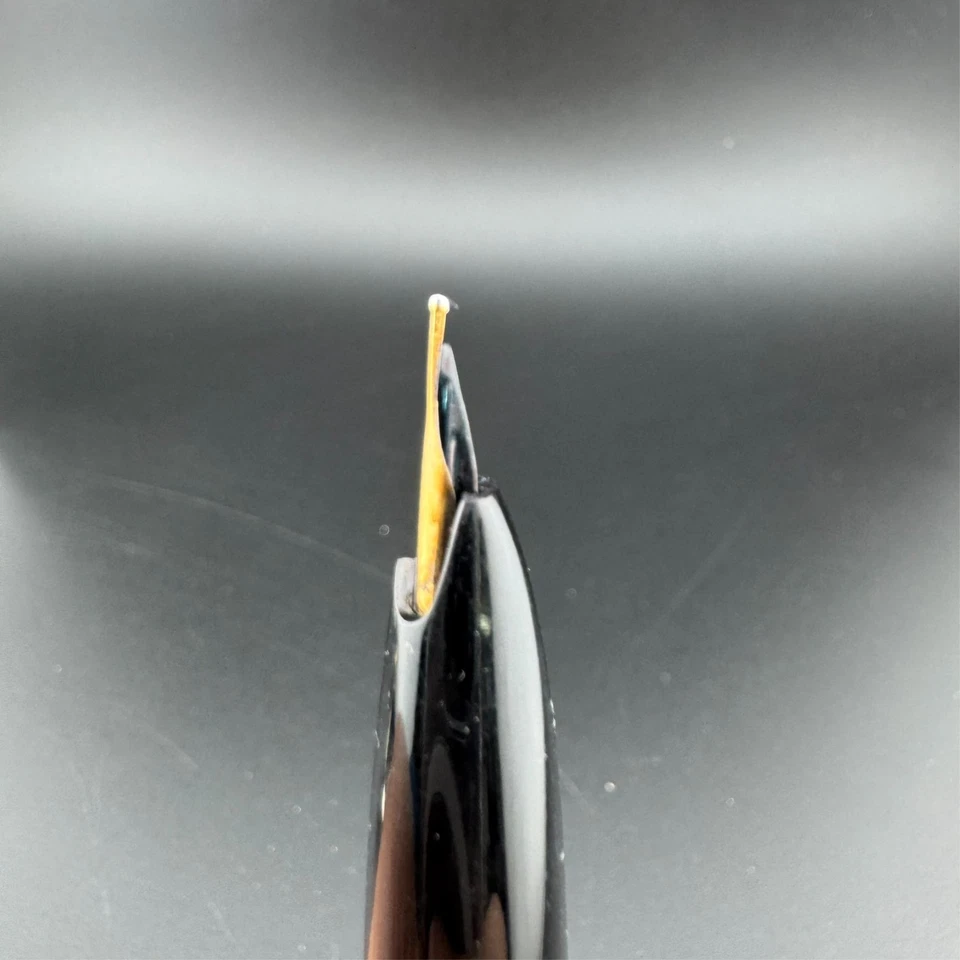 Pluma Estilográfica de Bolsillo Platino Oro 18K Plumín Mediano Foto 4 de 4