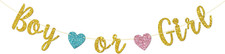 Boy or Girl Banner, Gender Reveal Party Banner, Baby Shower Party Gifts, Pregnan