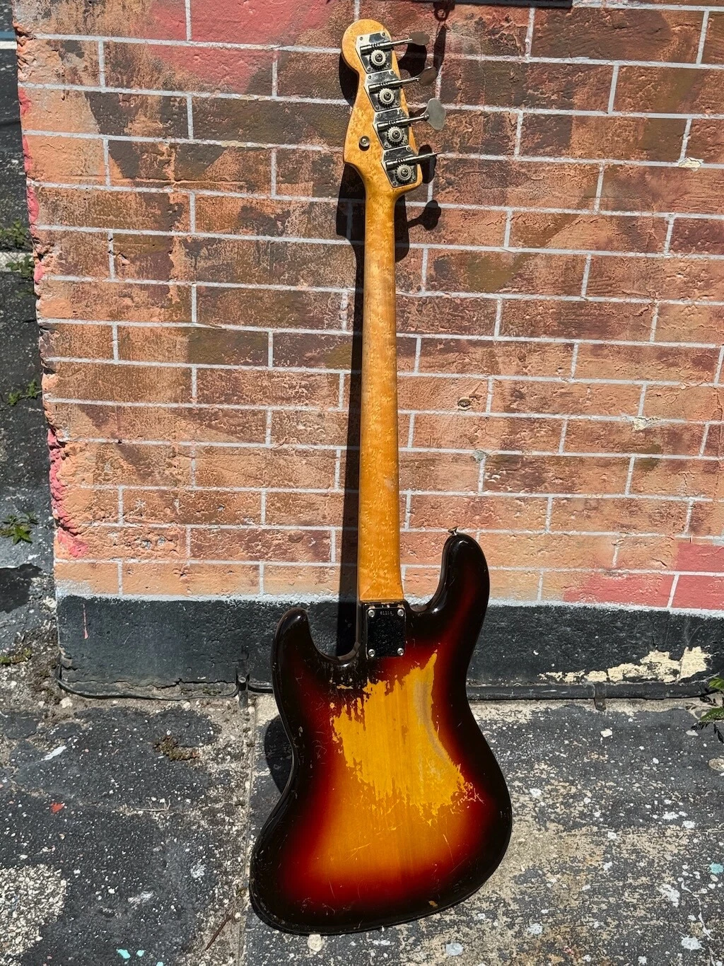 Picture 5 of 24