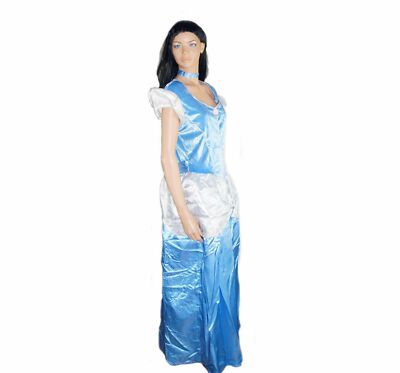 Disney Prinzessin Cinderella Film Kostüm Damenkostüm Karnevalkostüm Gr 16-18