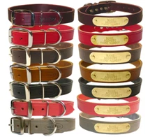 Warner Sporting Cumberland Leather Dog Collar 1" wide FREE engrave ID Tag USA