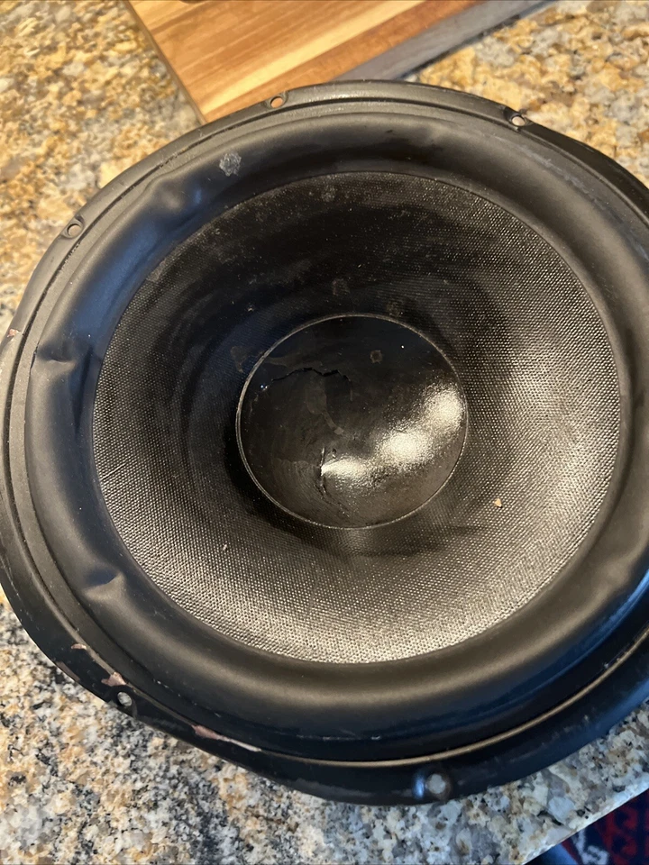 Peerless by Tymphany 830922 10” cono HDS woofer QC 110509 Foto 4 de 4