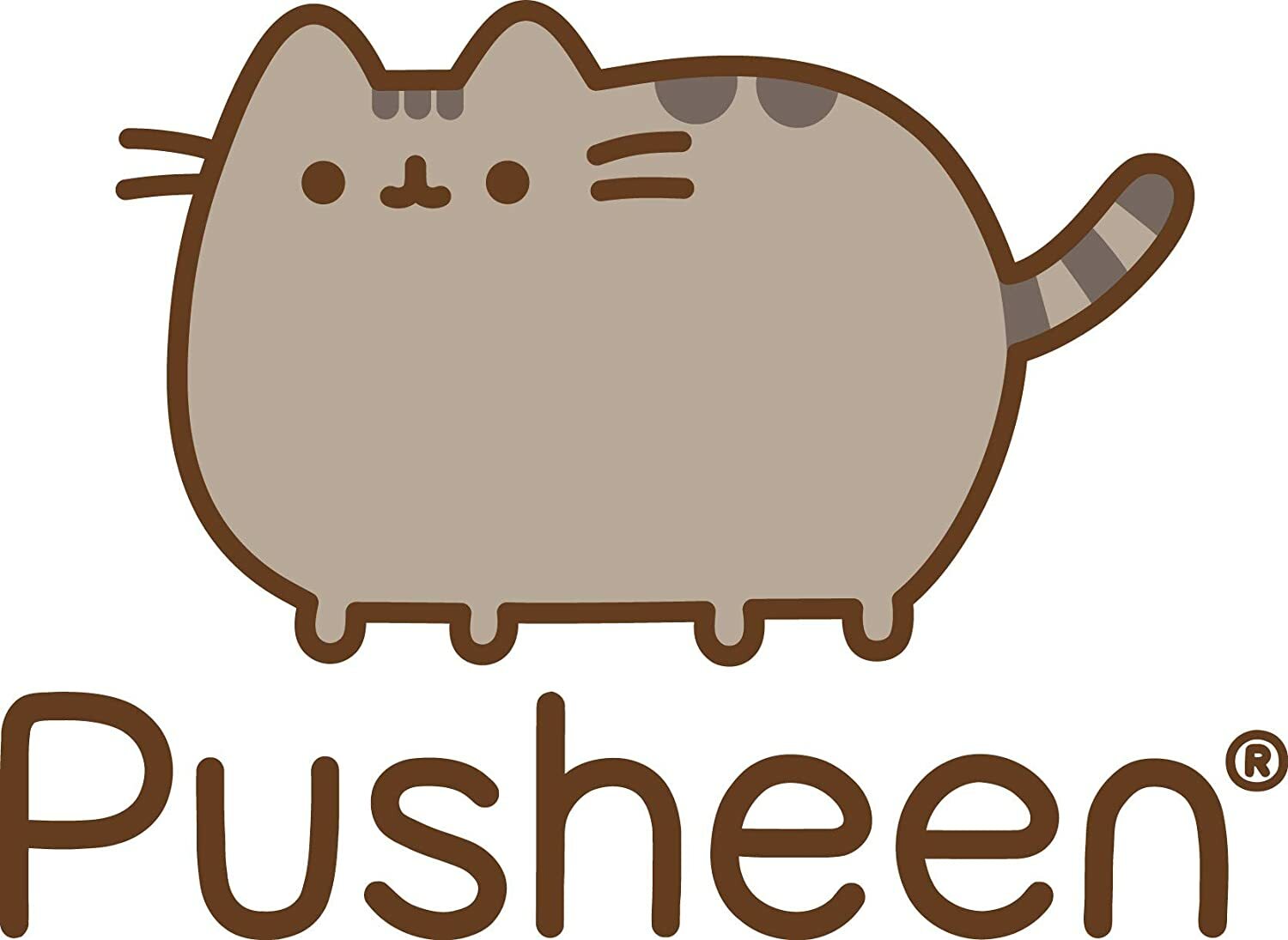 pusheen chip