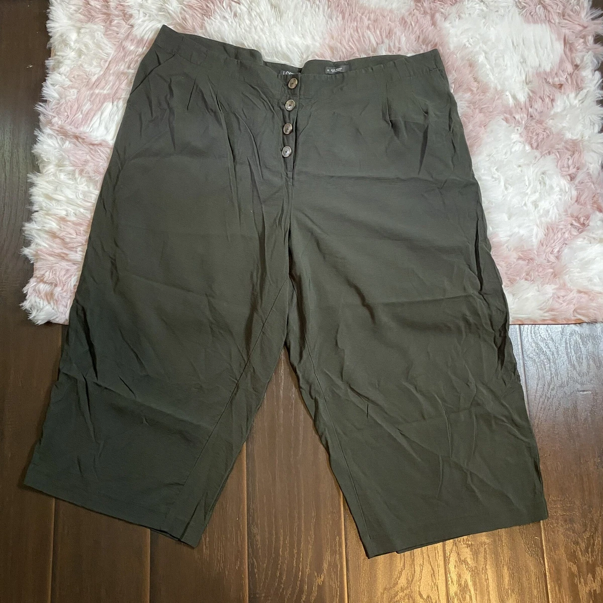 Loft plus size best sale shorts